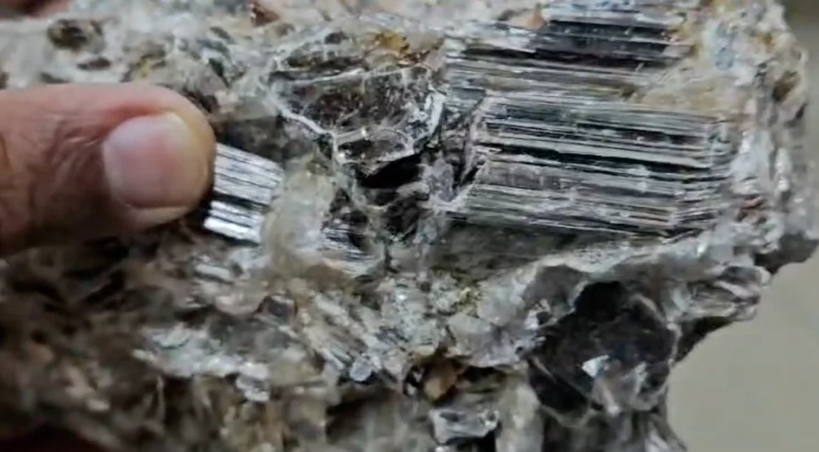 Screenshot 2025-03-20 at 2.41.12 AM