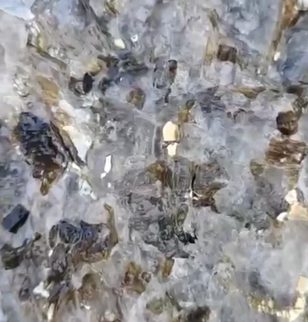 Screenshot 2025-03-20 at 2.42.15 AM