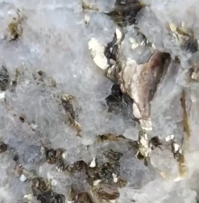 Screenshot 2025-03-20 at 2.42.27 AM