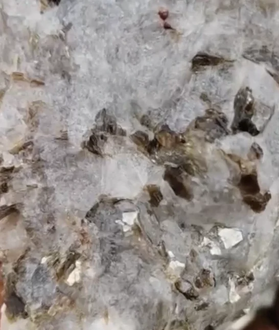 Screenshot 2025-03-20 at 2.43.18 AM