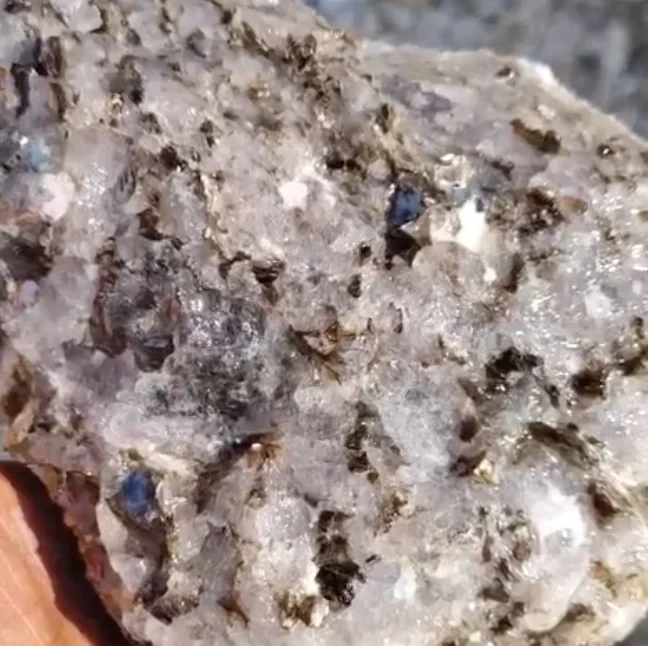 Screenshot 2025-03-20 at 2.43.52 AM