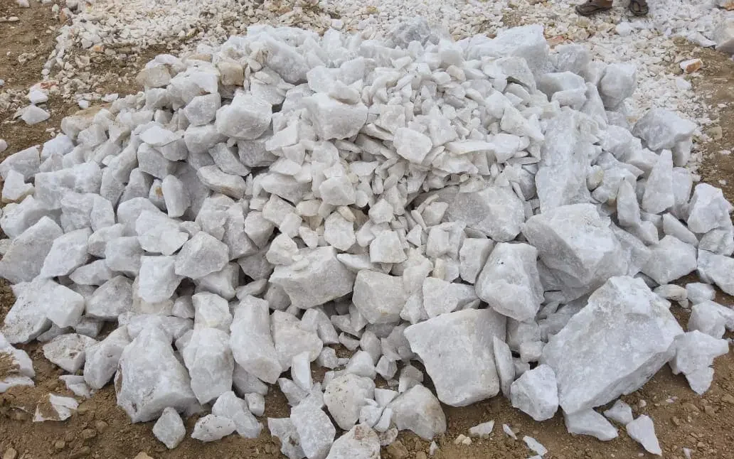 WhatsApp Image 2025-03-20 at 01.16.44