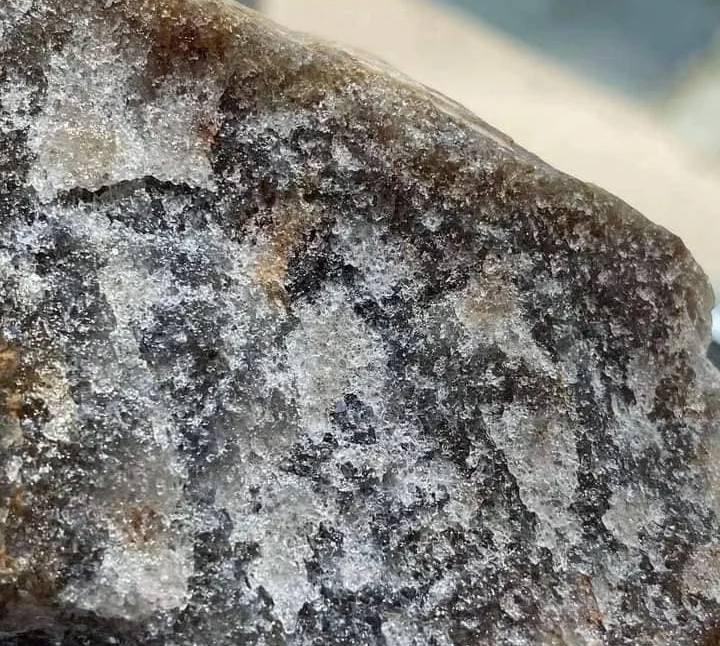 WhatsApp Image 2025-03-20 at 01.19.47 (1)