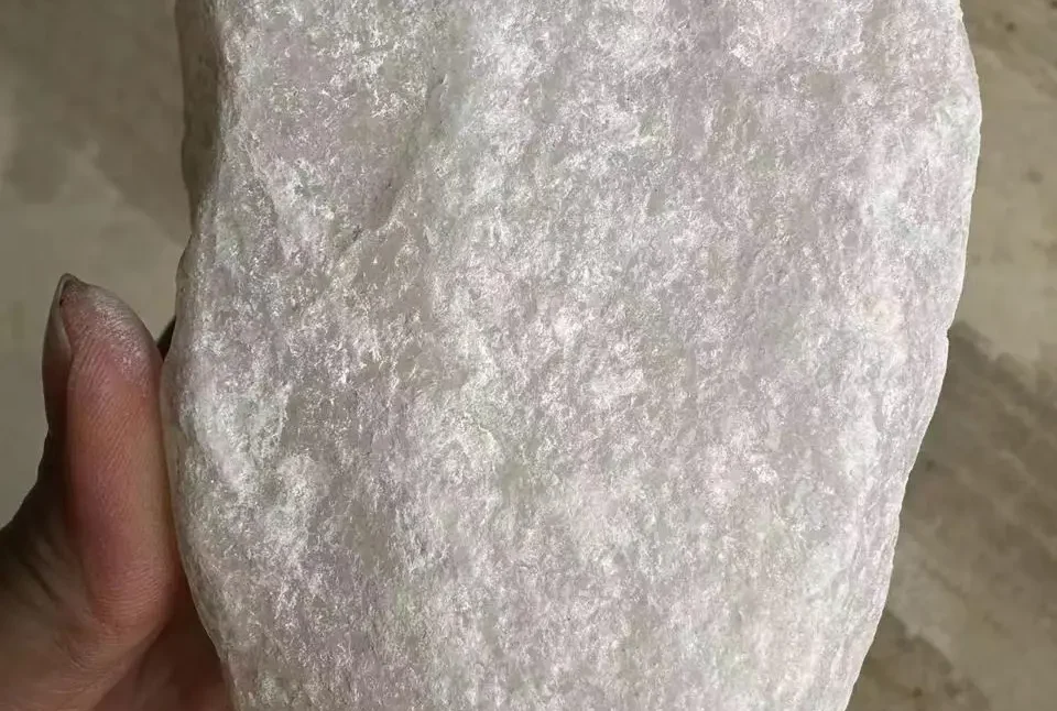 WhatsApp Image 2025-03-20 at 00.48.29