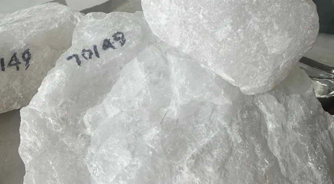 WhatsApp Image 2025-03-20 at 00.51.20