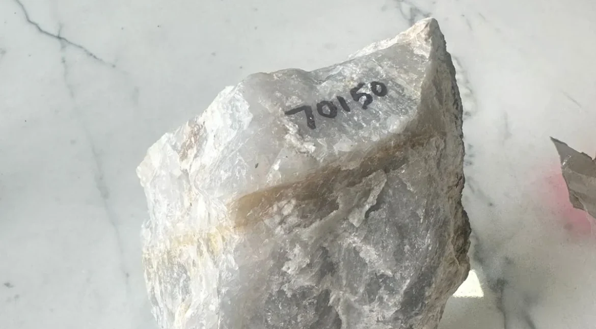 WhatsApp Image 2025-03-20 at 00.51.21